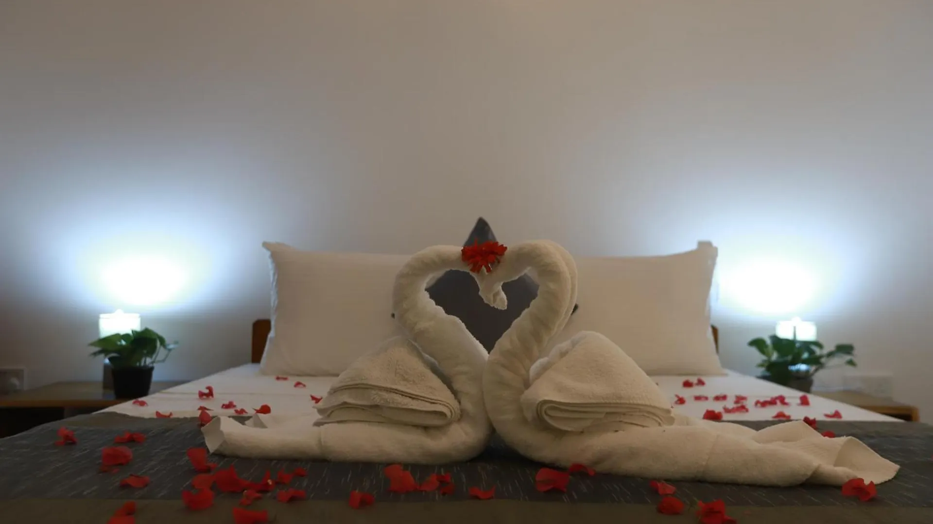 Villa La Vie Lagoon 尼甘布