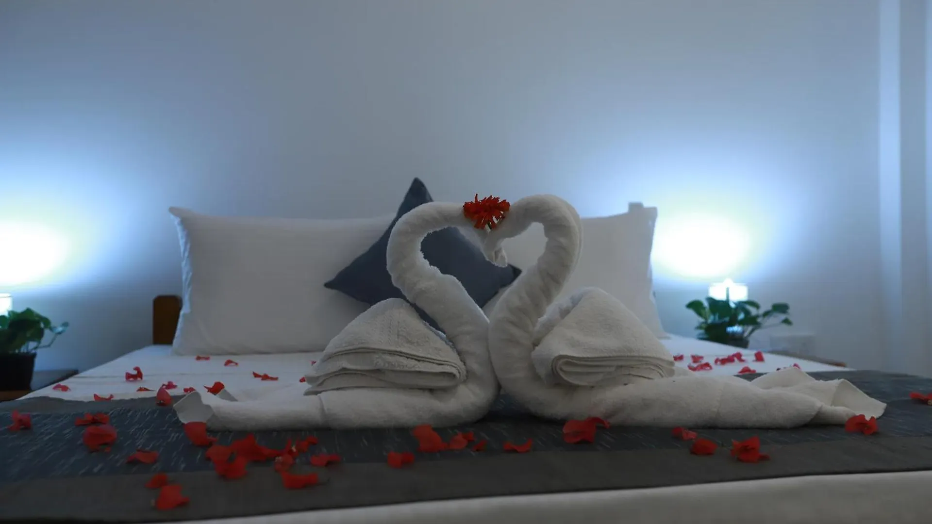 Villa La Vie Lagoon Νεγκόμπο Ξενοδοχείο