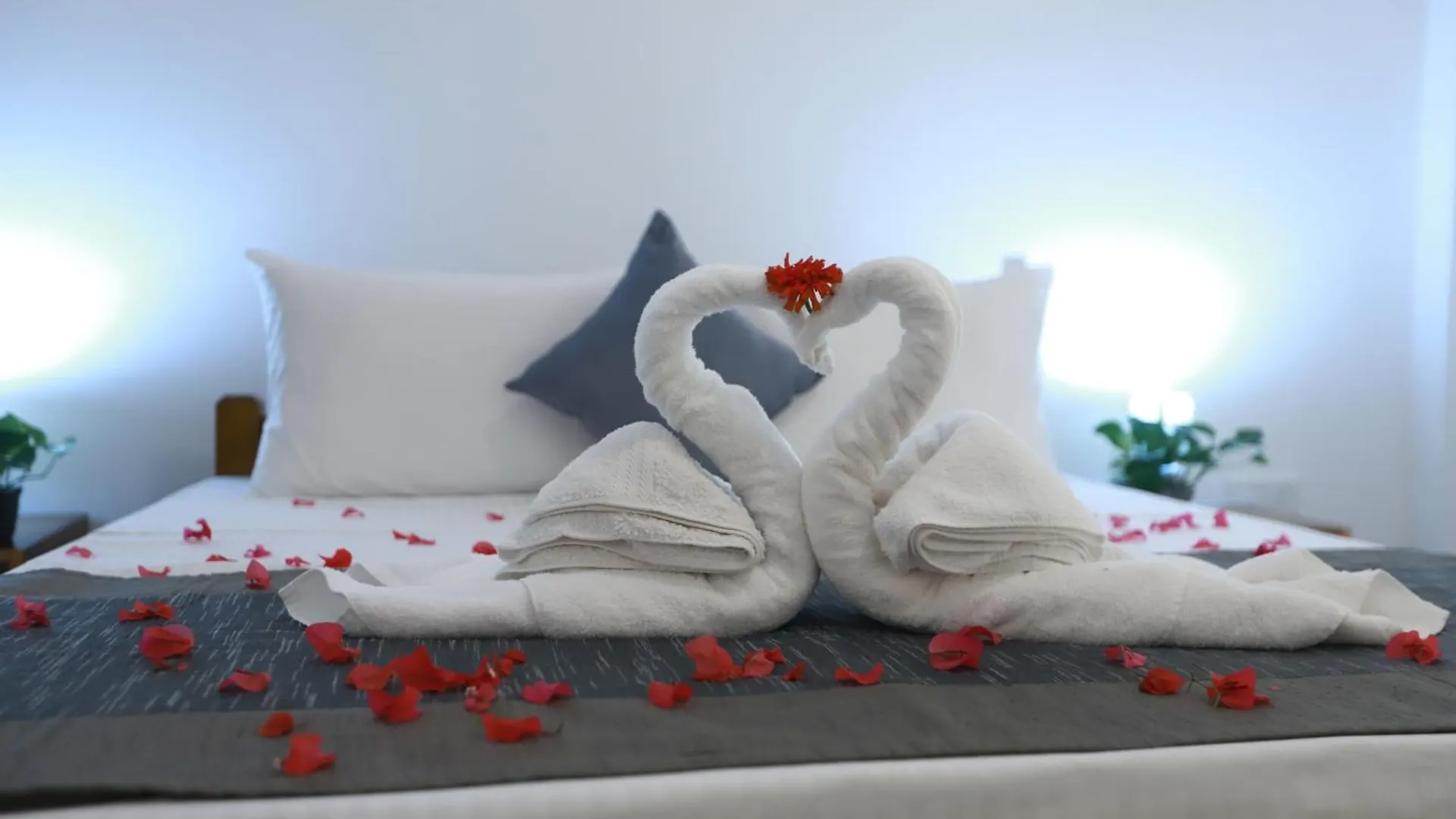 Villa La Vie Lagoon Νεγκόμπο 0*,